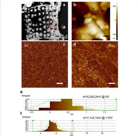 Fig. 1 a SEM image of a silicon diatom (scale bar 3 μm): the red square underlines the region where AFM and EFM characterizations wereperformed