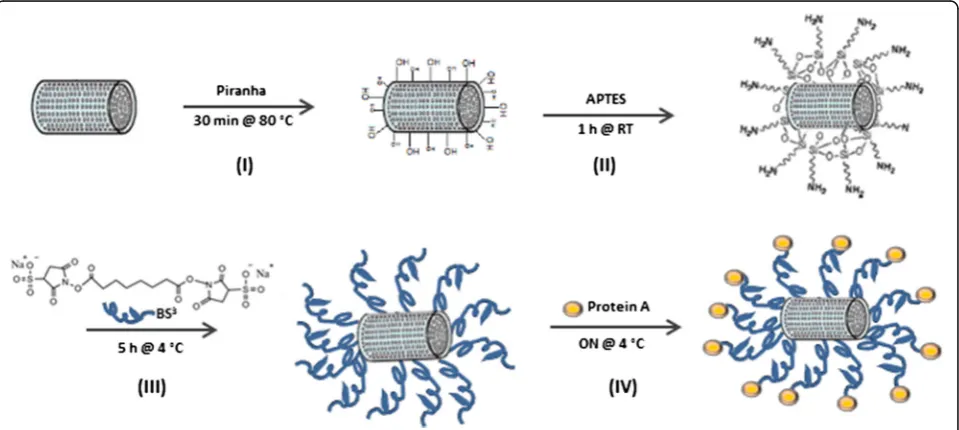 Fig. 2 Scheme of functionalization procedure used for silicon diatoms
