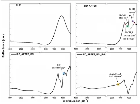 Fig. 4 Fluorescence microscopy images of bare (a) and PrA* functionalized (b) SiD. Scale bar 100 μm