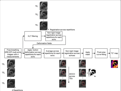 Fig. 2 The workflow to generate the T2* map from free-breathing, T2*-weighted images acquired using the ECG-triggered, dark-blood, single-shotGRE-EPI sequence