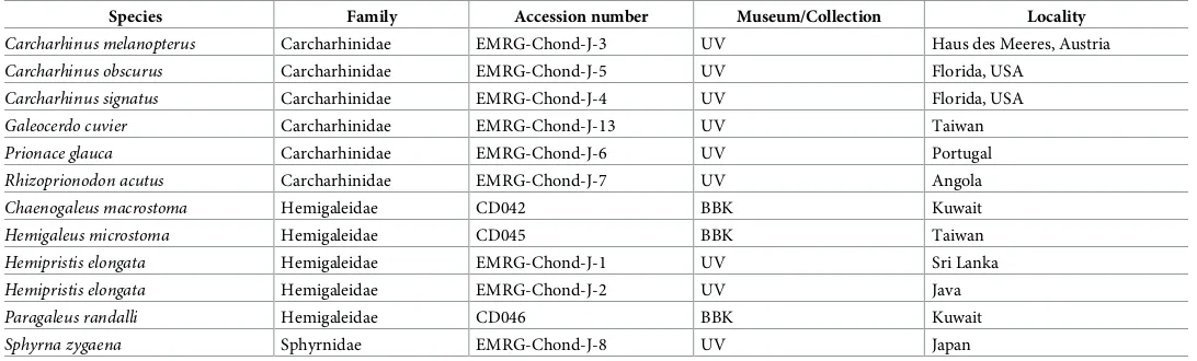 Table 1. Summary of all examined shark jaws. Specimens are either deposited in the collection of the Department of Palaentology, University of Vienna (UV) or in thecollection of the Earth and Planetary Sciences of Birkbeck, University of London (BBK) and are publicly accessible.