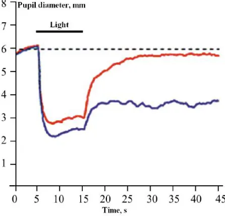 Figure 8. Dependence for pupil diameter changes on accommodation level [44]  