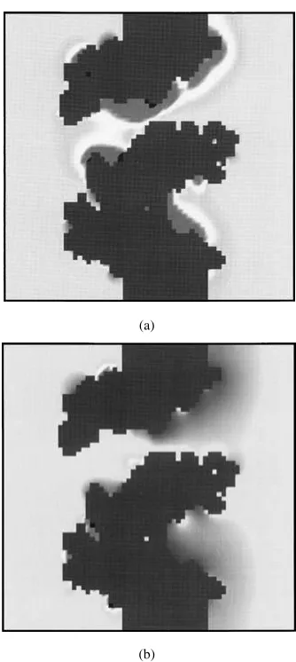 Figure 6.Steady state (a) K+ ion density and (b) Cl+ ion densityon a two-dimensional slice through the computational domain for a0.1Msymmetric(Cleft = Cright)KClunderanappliedbiasof200mV.