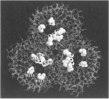 Figure 1.Molecular structure of ompF, a porin channel found in the outer membrane of the E-coli bacterium