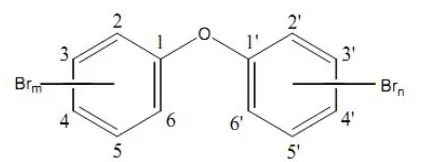 Fig. 1. General structure of polybrominated diphenyl ethers 