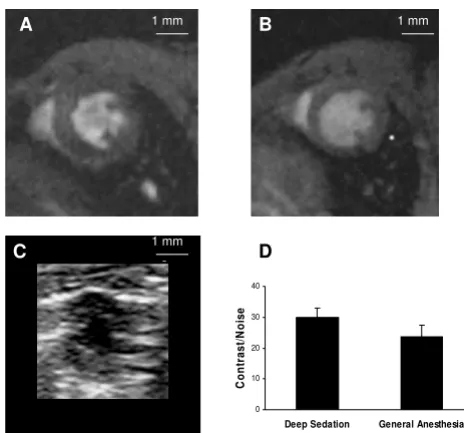 Figure 1Image QualityImage Quality. Mid-ventricular short-axis end-diastolic images acquired (A) with CMR during deep sedation, (B) with CMR during general anesthesia, and (C) with echocardiogra-phy, all from the same mouse