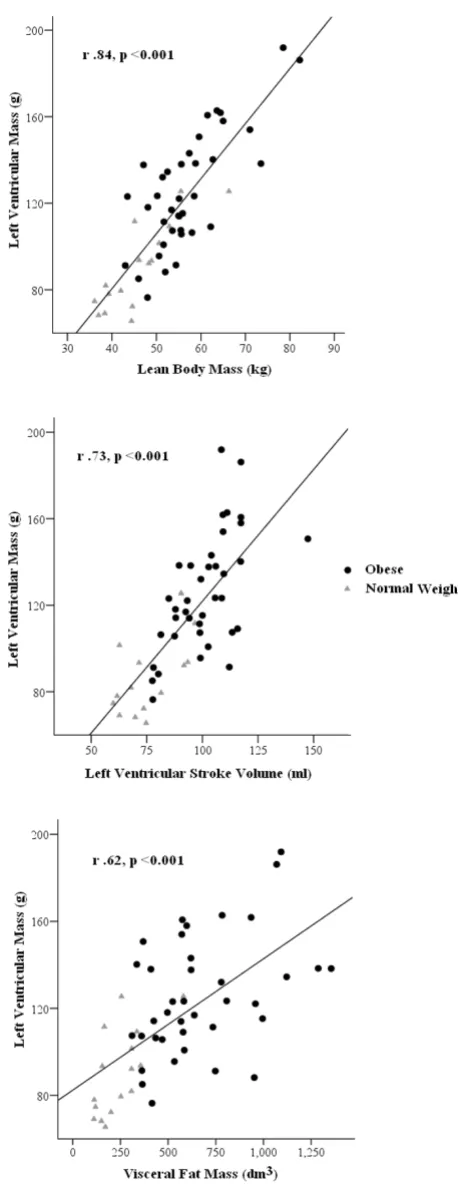 Figure 2Pearson Correlations for Independent Predictors of Left Ventricular MassPearson Correlations for Independent Predictors of Left Ventricular Mass.