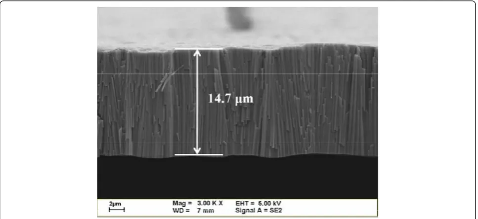 Figure 4 SEM cross sectional view of annealed-TNA. Mag, magnification; WD, width; EHT, extra high tension.
