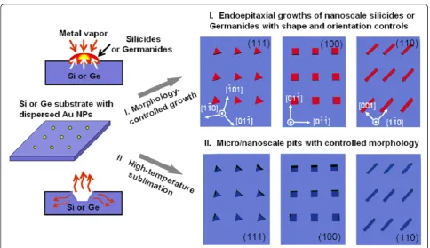 Figure 1 Schematic illustrating the lithography-free micro-/nanoscale patterning on Si and Ge surfacesnanoscale silicides or germanides with shape and orientation controls