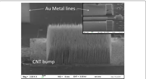 Figure 2 SEM of a CNT bump growth using the PECVD approach. The grown CNT was vertically aligned, and the length of the CNT was 20μm