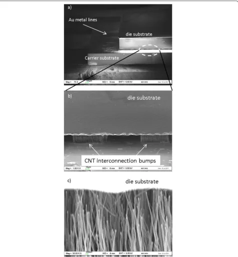 Figure 4 SEM images of the CNT interconnection bump demonstrated using a flip chip concept