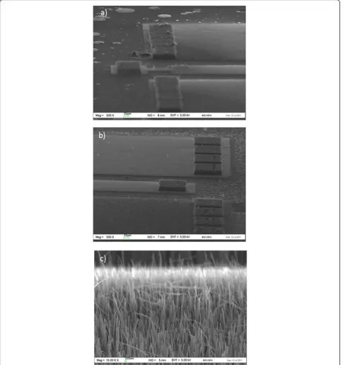 Figure 5 SEM images of the CNT bumpsjoined to the carrier bump in (a). (’ morphology after top die removal
