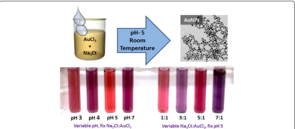 Fig. 1 Normalized UV-vis spectra of gold nanoparticles synthesizedvia room temperature approach (RT) showing long-term stability ofcolloidal suspension (concentration ratio of citrate and gold(III)chloride is 5:1 at pH = 5)