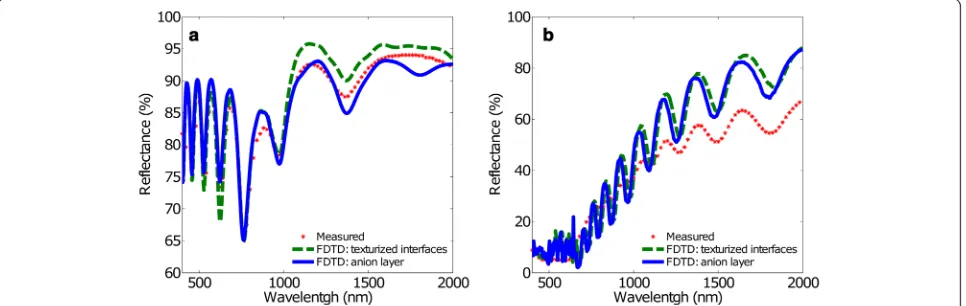 Fig. 4 Measured and calculated reflectance spectra using FDTD with the texturized interface model and the anionic layer model