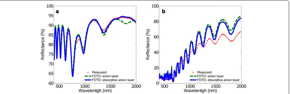 Fig. 5 Measured and calculated reflectance spectra using FDTD with the anionic layer model, with and without absorption.absorption and the a dint = 100 nm andb dint = 440 nm