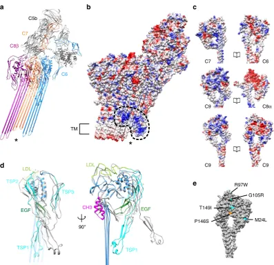 Fig. 3 Structural transitions of complement proteins upon MAC assembly.complement proteins.4A5W; gray)
