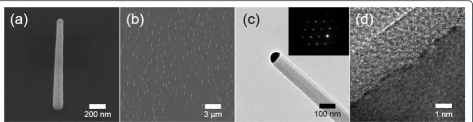 Fig. 1 SEM and TEM images of the synthesized SiNWs. a, b SEM image of vertical SiNWs (tilted by 30°)