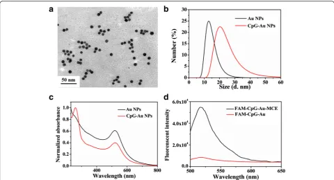 Fig. 3 Characterization of CpG-Au@HBc VLPs and CpG@HBc VLPs. TEM images of negatively stained samples of HBc VLPs encapsulatedNPs and a CpG-Au b Au NPs
