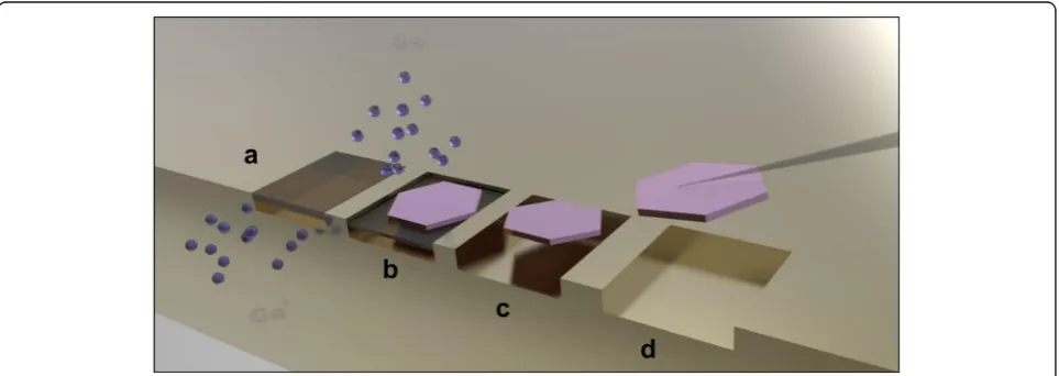 Figure 1 illustrates the simple FIB etching process flow