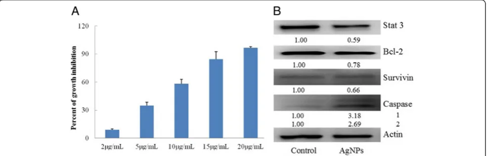 Fig. 7 The anticancer effects of AgNPs on the PC-3 cells, a cytotoxic effects and b effects of the level of phosphorylated stat 3, bcl-2, survivin,and caspase-3