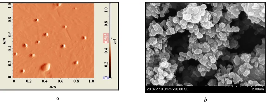 Figure 1. Synthesized nanoparticles of the silicon dioxide:  a – AFM; b – electronic microscopy 