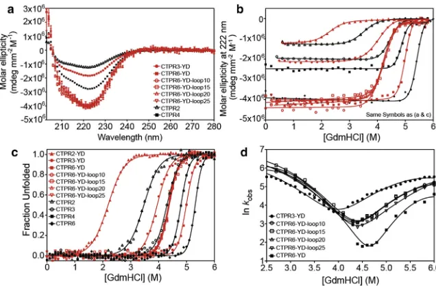 FIGURE 1Sequences, topologies, and modeledInthe representationofthe CTPR6-YD-loopproteins, the CTPR-YD-loopmotifislocated inrepeat3 (and before the fourth repeat () is shown