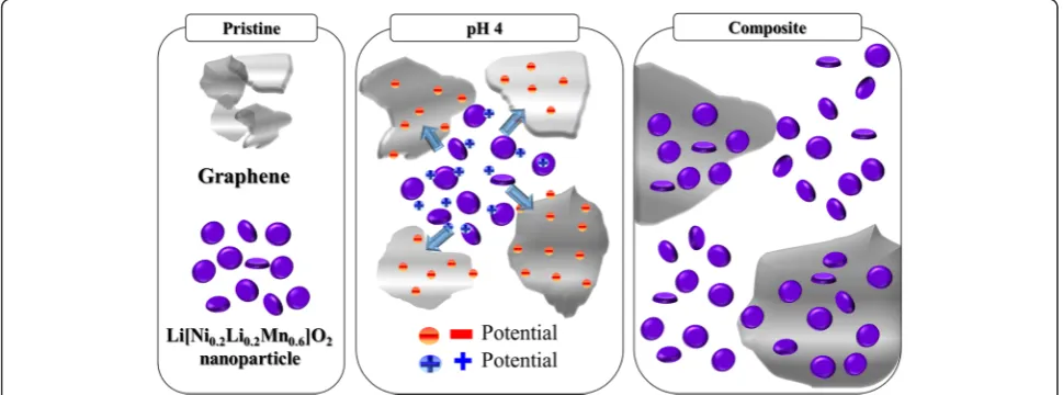 Fig. 1 Schematic showing the fabrication process of graphene/Li[Ni0.2Li0.2Mn0.6]O2 nanoparticle composites via electrostatic interaction