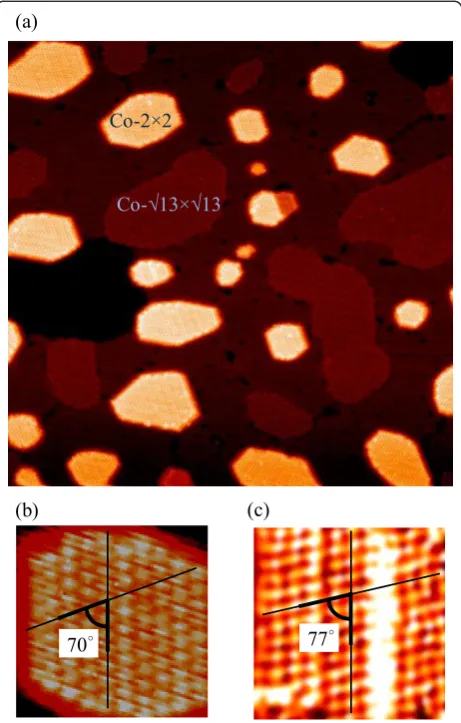 Figure 1a shows a typical large-scale STM image of thesurface which was prepared under the conditionsdescribed in the previous section