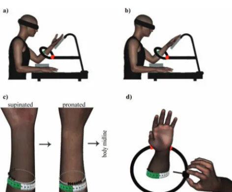 Figure 1 shows the experimental