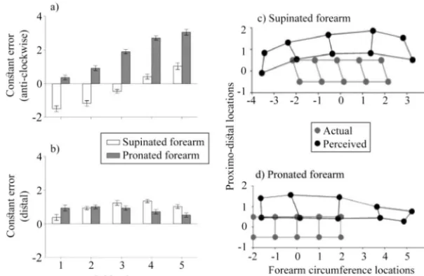 Figure 6.The constant localization error. Panels a–b show the anticlockwise and distal mislocalization ofperceived touches relative to their actual locations (in centimeters) for individual grid columns collapsed acrossgrid rows