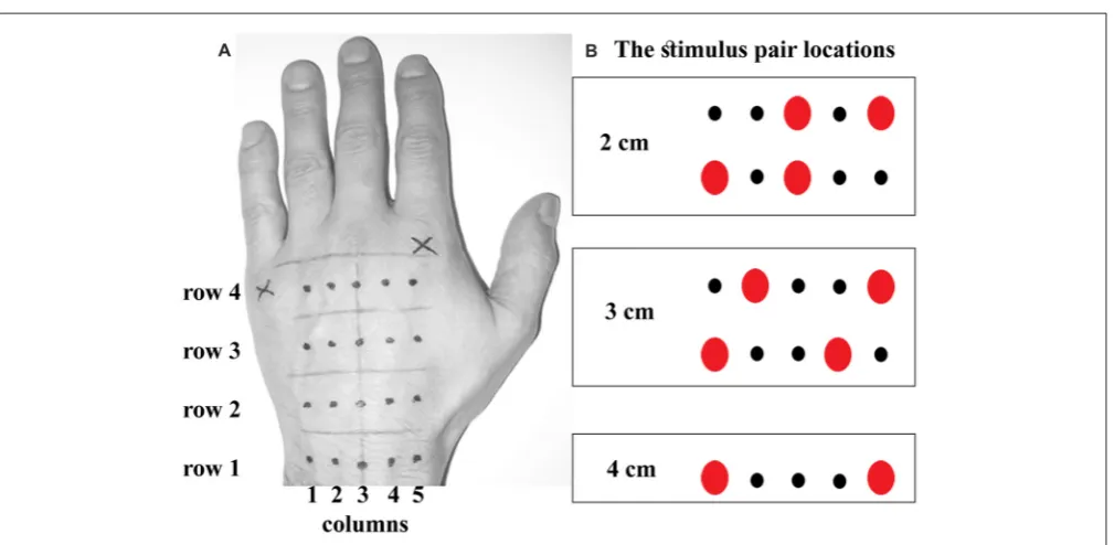 FIGURE 1 | The stimulus locations.row contained ﬁve locations (dots) spaced 1 cm apart