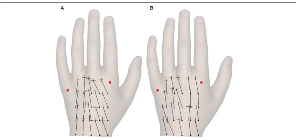 FIGURE 2 | The constant localization error for different temporal separations of the touches