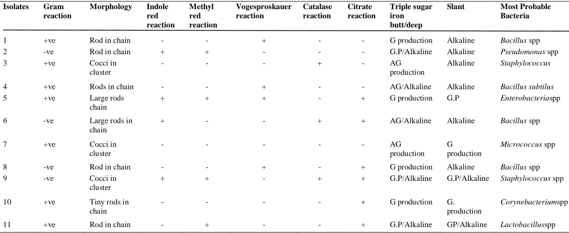 Table 1:Total Heterotrophic Bacterial (THB) counts obtained from the samples  Sample 