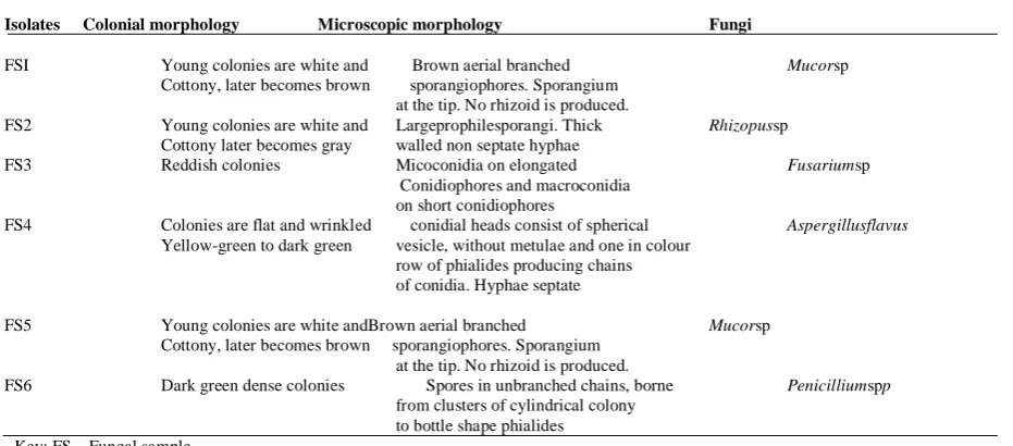 Table 5: Cultural and microscopic characterization of fungal isolates  Isolates 