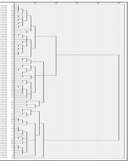 Figure 1. Dendrogram Tree of Hierarchical Clusters based on the Participants’ Perceived Fluency Scores 
