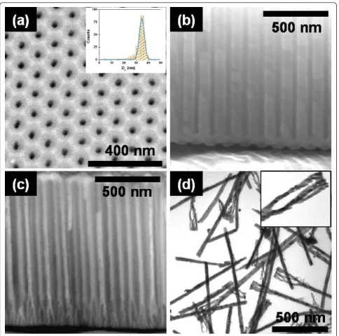 Figure 1 SEM images of PAA template. (a) PAA surface and (b) continuous oxide-layer present at the bottom of each nanopore in PAA