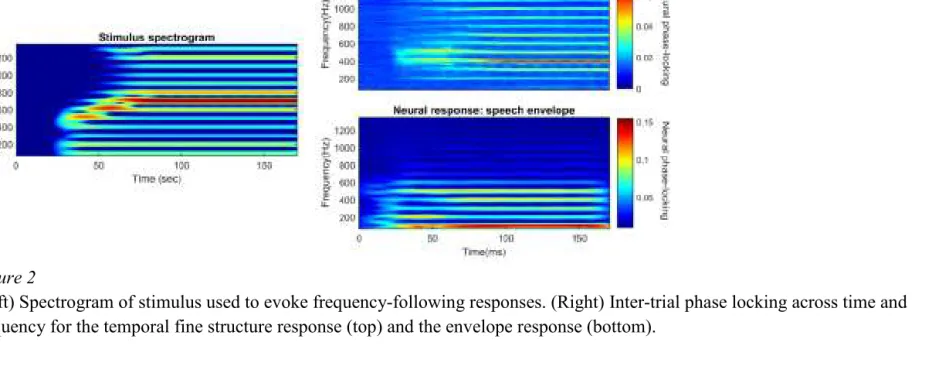 Figure 2  (Left) Spectrogram of stimulus used to evoke frequency-following responses. (Right) Inter-trial phase locking across time and 