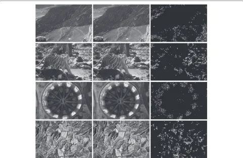 Fig. 5 Watermark imperceptibility assessment by PSNR and MSSIM, with different values of step size �: a PSNR versus ˜ρt, b MSSIM versus ˜ρt