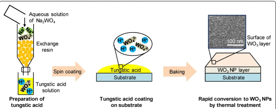 Figure 1 Synthesis of WO3 nanoparticles from aqueous solution of Na2WO4. Surface of WO3 layer was investigated through field emissionscanning electron microscope (FESEM).
