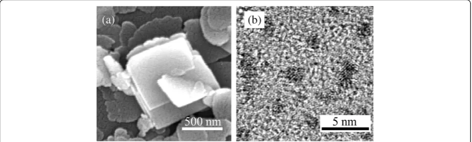 Figure 2 Illustrations of WAW multilayer and WAW-based PLEDs. (a) Cross-sectional transmission electron microscope (TEM) image ofsolution-processed WAW multilayer