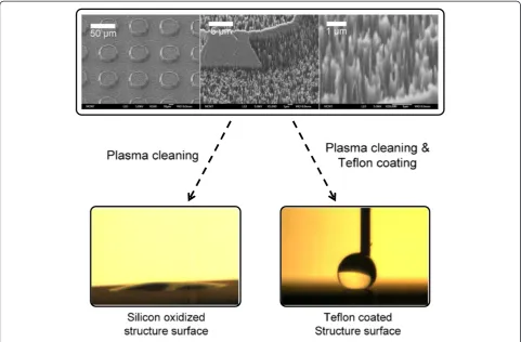 Figure 1 SEM image and apparent static contact angle. SEM image of the fabricated structured surface and apparent static contact angle onoxidized silicon and Teflon-coated nano/microstructures.