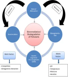 Fig 1Flow chart explaining the cycle of bidegrada-tion/bioremediation of pollutants. 