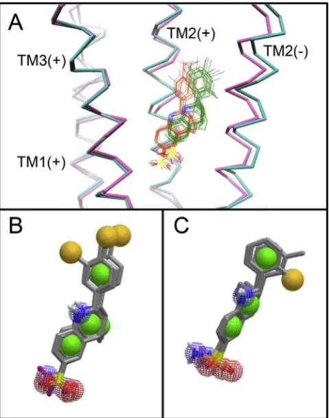 Fig. 1. Generation of pharmacophore queries used for virtual screening. The highestof the principal subunit and TM2 helix of the complimentary subunit are shown for theopen (cyan) and closed (pink) conformations