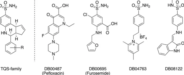 Fig. 2. Allosteric modulators of thecompounds from the DrugBank database that were identi a7 nAChR