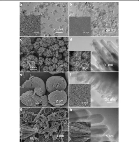 Figure 6 Typical FESEM and TEM images of the products.0.68 M, Products synthesized at various HCl concentrations: (a) 0, (b) 0.45 M, (c and d) (e and f) 1.12 M and (g and h) 1.35 M