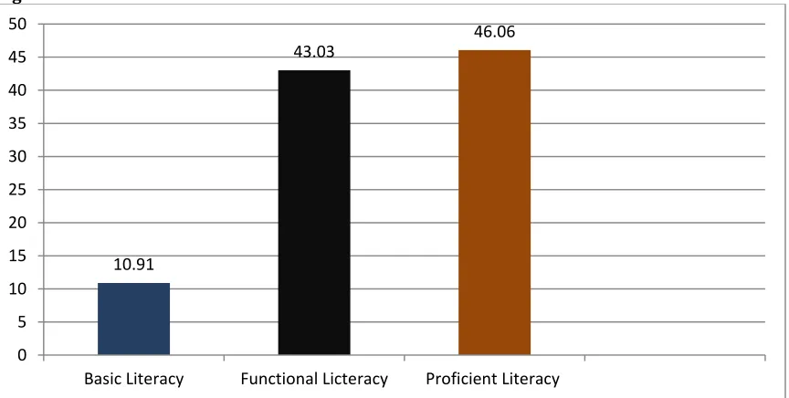 Figure 2: ICT skill level in terms of use 