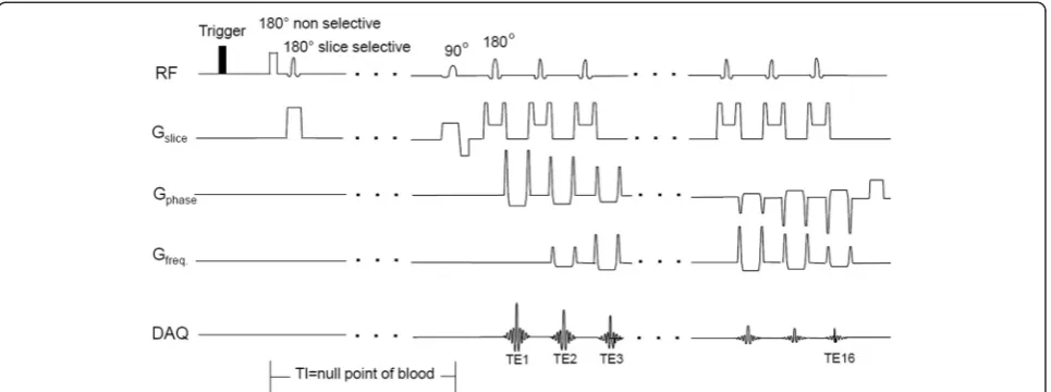 Figure 1 DIR-RADFSE pulse sequence diagram. The ECG or peripheral gating signal triggers a double inversion recovery preparation period tonull the signal from flowing blood
