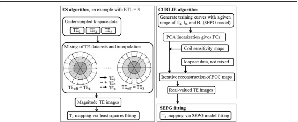 Figure 2 Flow charts of the ES and the CURLIE algorithms. The left panel shows a diagram for the generation of TE images with the ESalgorithm by mixing TE data in k-space