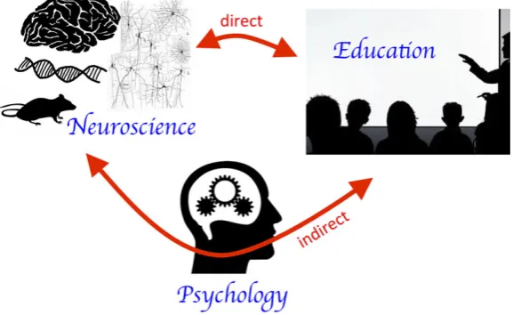 Figure 1 Two pathways linking neuroscience to education
