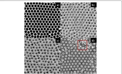 Fig. 2 Top view SEM images of the fabrication process of VFS PZT NC arrays.after etching off the PZT top layer on the top surface of AAO by an IBE